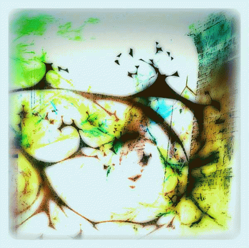 Tanpopo Crisis : Illegally Modified